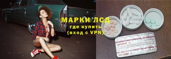 стафф Алзамай
