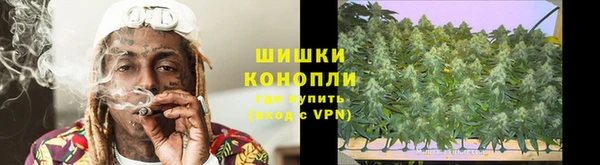 стафф Алзамай