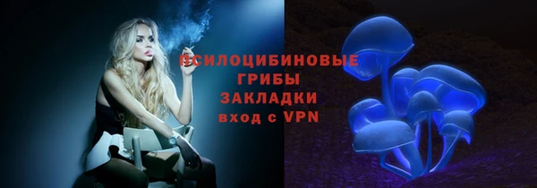 спиды Алексеевка