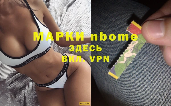 стафф Алзамай